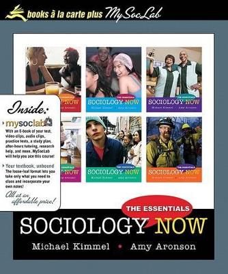 Book cover for Sociology Now