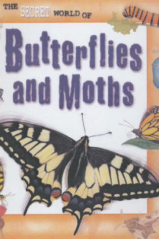 Cover of The Secret World of: Butterflies and Moths