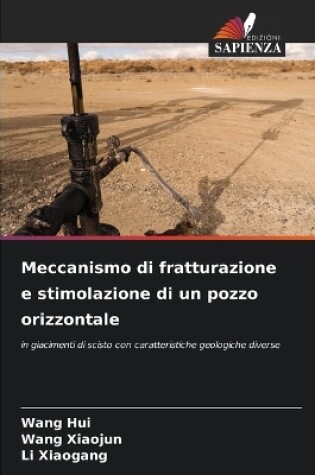 Cover of Meccanismo di fratturazione e stimolazione di un pozzo orizzontale