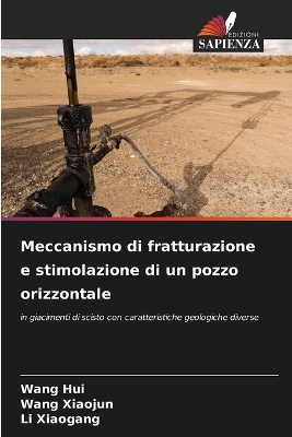 Book cover for Meccanismo di fratturazione e stimolazione di un pozzo orizzontale