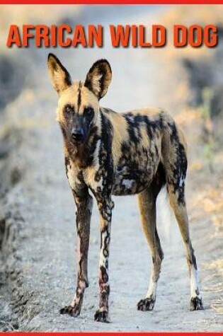 Cover of African wild dog