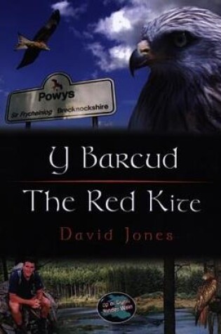 Cover of Cyfres Cip ar Gymru / Wonder Wales: Barcud, Y / Red Kite, The
