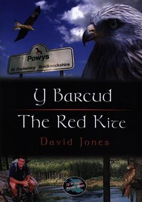 Book cover for Cyfres Cip ar Gymru / Wonder Wales: Barcud, Y / Red Kite, The