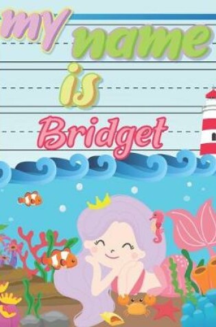 Cover of My Name is Bridget