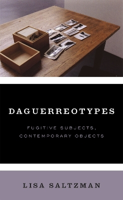 Book cover for Daguerreotypes