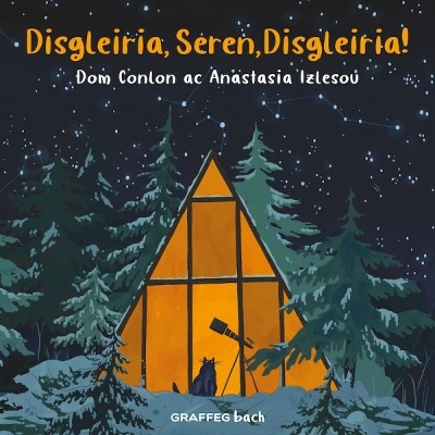 Cover of Disgleiria, Seren, Disgleiria!