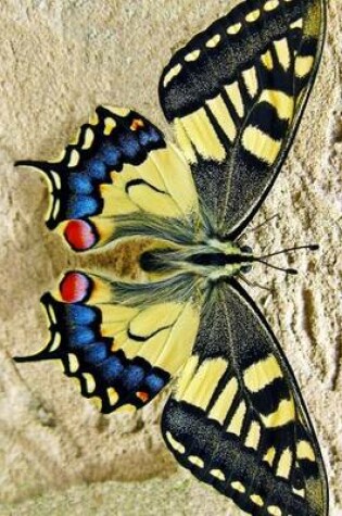 Cover of Beautiful Yellow Swallow Tail Butterfly, for the Love of Nature