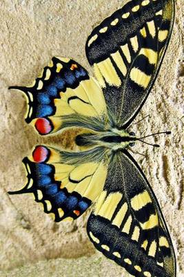 Book cover for Beautiful Yellow Swallow Tail Butterfly, for the Love of Nature