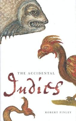 Book cover for The Accidental Indies