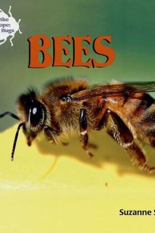 Cover of Bees