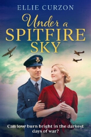 Cover of Under a Spitfire Sky