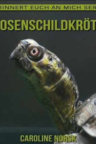 Cover of Dosenschildkroete