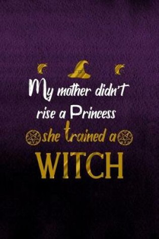 Cover of My Mother didn't Rise A Princess She Trained A Witch