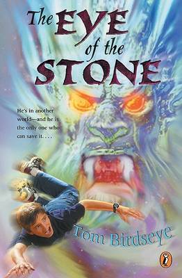 Book cover for The Eye of the Stone