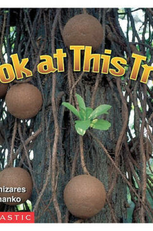 Cover of Look at This Tree