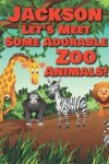 Book cover for Jackson Let's Meet Some Adorable Zoo Animals!