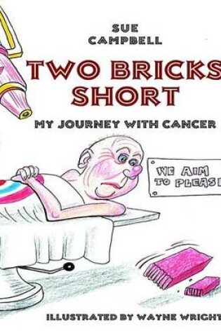 Cover of Two Bricks Short