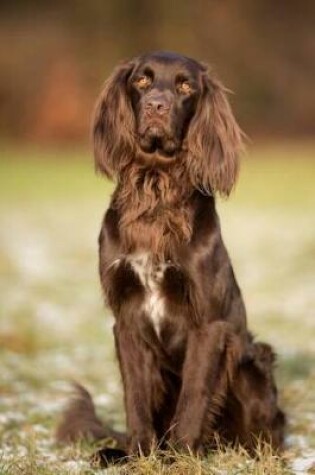Cover of The German Longhaired Pointer Dog Journal