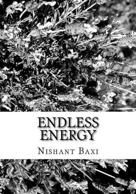 Book cover for Endless Energy