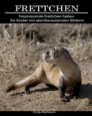 Book cover for Frettchen