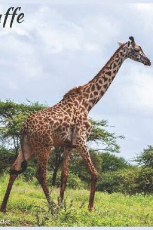 Cover of Giraffe 2021 Calendar