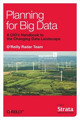 Book cover for Planning for Big Data