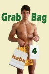 Book cover for Grab Bag 4