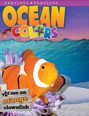 Book cover for Ocean Colors