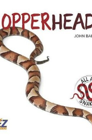 Cover of Copperheads