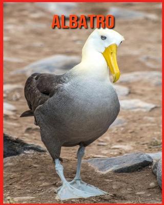 Book cover for Albatro