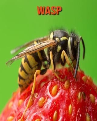 Book cover for Wasp