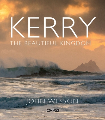 Book cover for Kerry