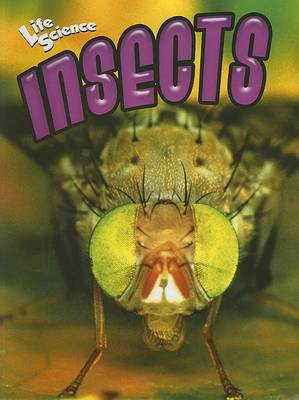 Book cover for Insects