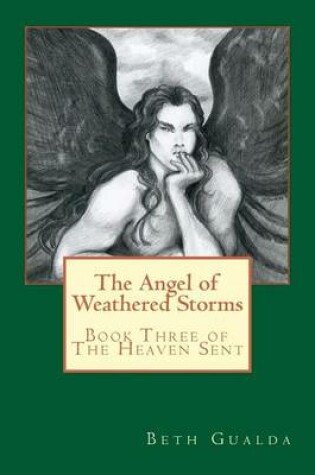 Cover of The Angel of Weathered Storms