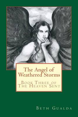 Book cover for The Angel of Weathered Storms
