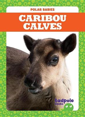 Book cover for Caribou Calves