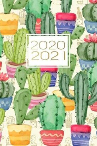 Cover of 2020-2021