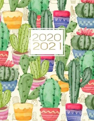 Cover of 2020-2021