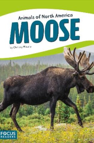 Cover of Moose