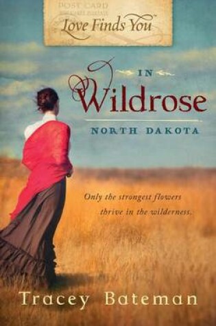 Cover of Love Finds You in Wildrose, North Dakota