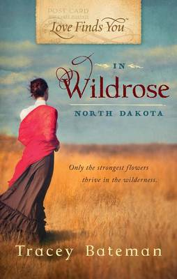 Book cover for Love Finds You in Wildrose, North Dakota