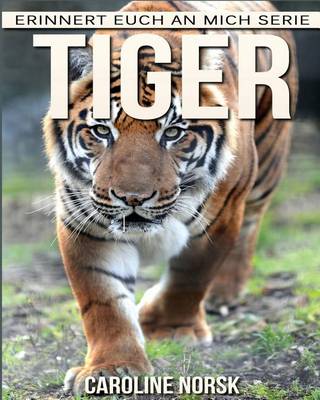 Book cover for Tiger