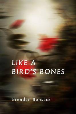 Book cover for Like a Bird's Bones