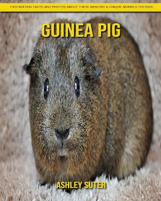 Book cover for Guinea pig