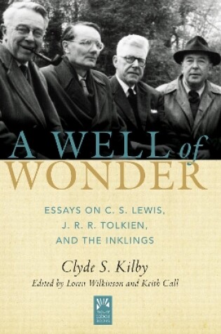 Cover of A Well of Wonder