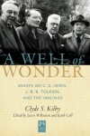 Book cover for A Well of Wonder