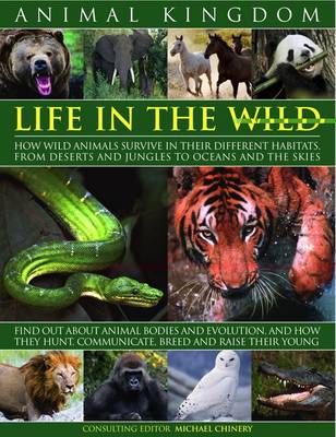 Book cover for Animal Kingdom