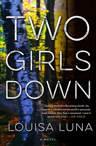 Book cover for Two Girls Down