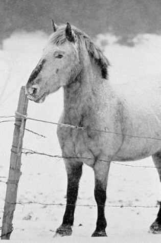 Cover of Journal White Horse Winter Field