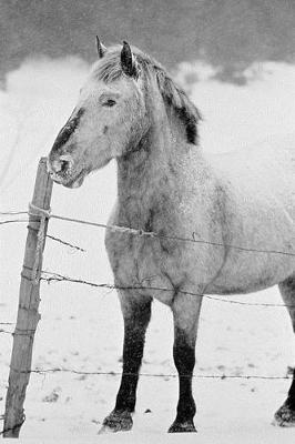 Cover of Journal White Horse Winter Field